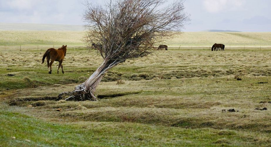 Wyoming Office of Tourism 7 Wyoming Office of Tourism 7